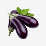 Creative Farmer Garden Natural Vegetable