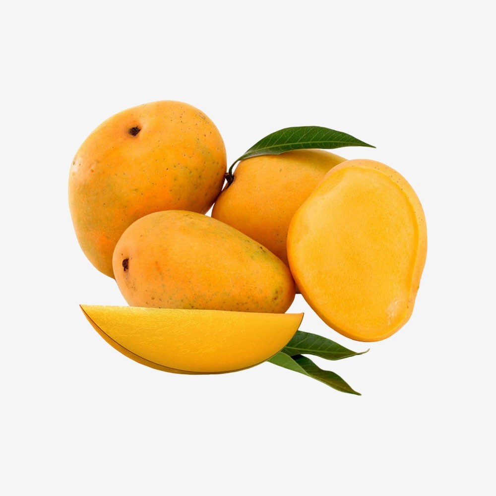 Curate Mango Mallika Large Premium