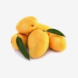 Curate Mango Mallika Large Premium