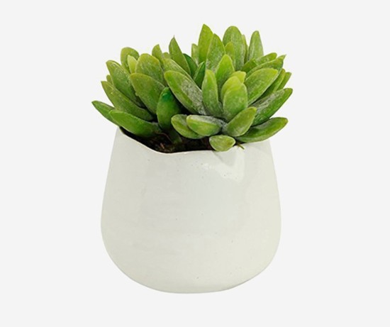 Tied Artificial Swiss Cheese Potted Plant with Plastic Pot