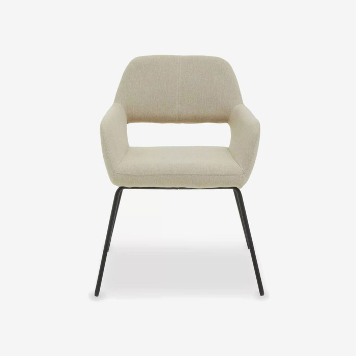 Dining Chairs Set of 2 Home Modern Bedroom