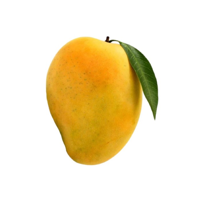 Curate Mango Mallika Large Premium