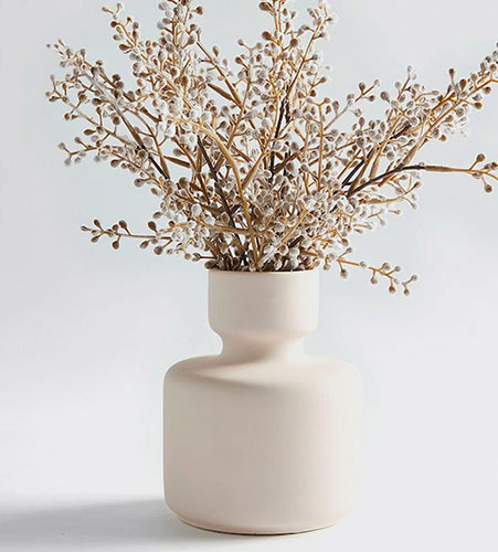 Earthenware Ceramic